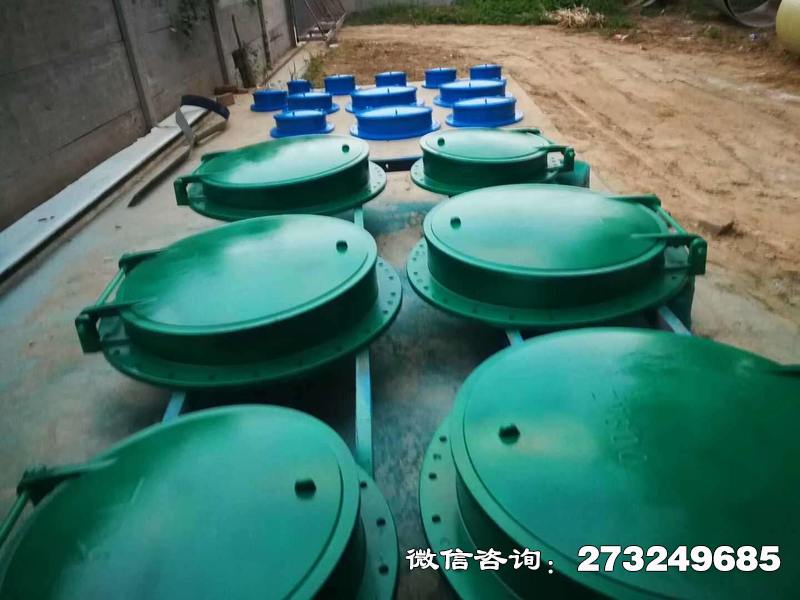 金东市政管道口玻璃钢拍门