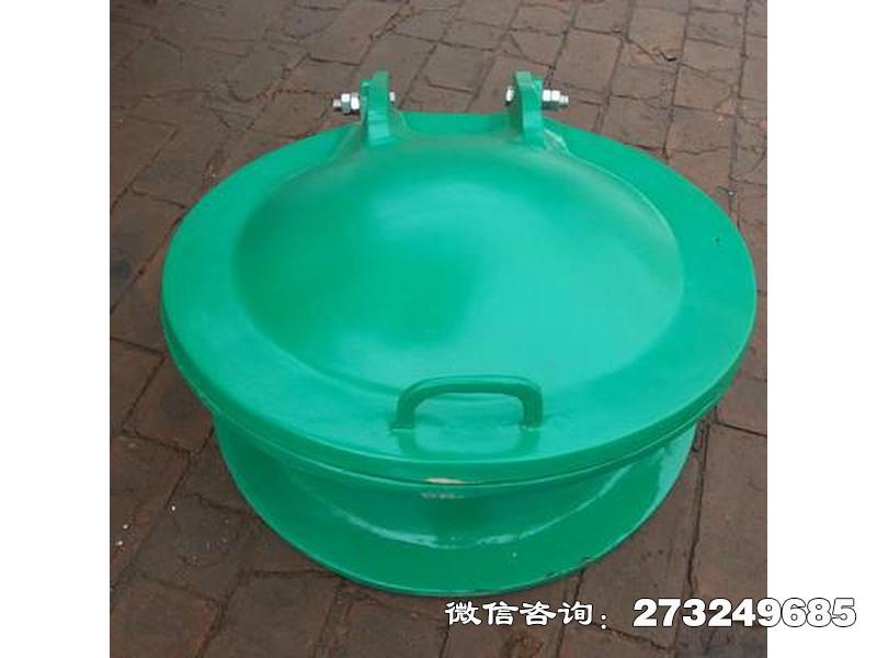 金东排污口玻璃钢拍门