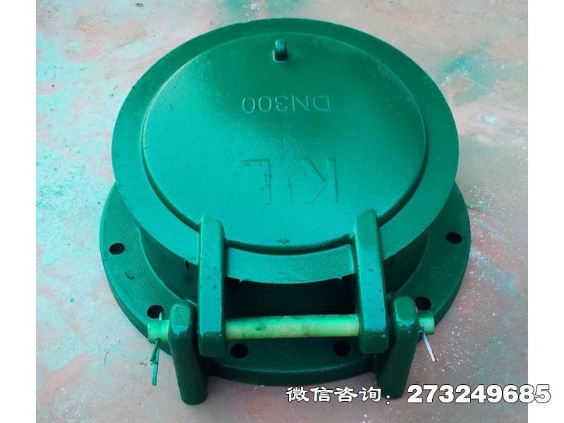龙州县dn300复合材料拍门